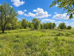 TBD Lot 21 Longview Creek Trail - Photo 7