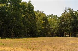 Tbd N Tipps Lane - Photo 3