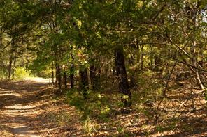 Tbd N Tipps Lane - Photo 5