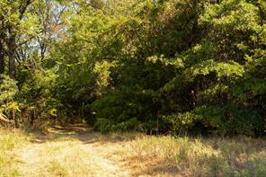 Tbd N Tipps Lane - Photo 6
