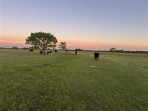 3132 Vz County Road 3808 - Photo 2