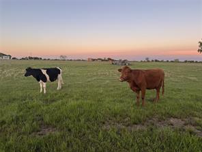 3132 Vz County Road 3808 - Photo 4