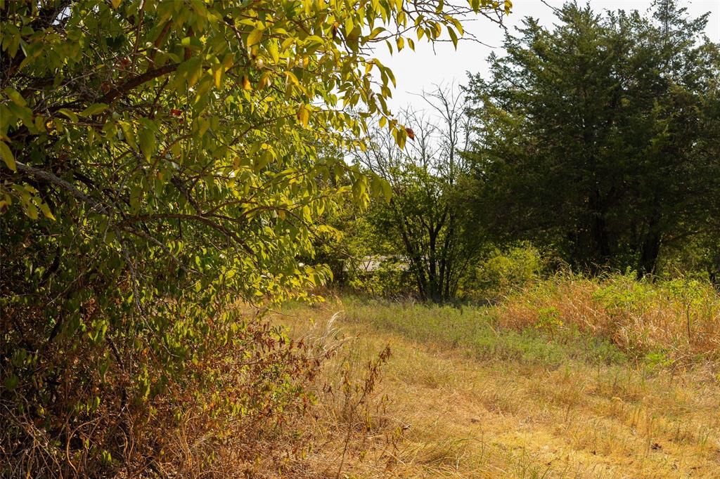 4 Acres Tipps Lane - Photo 6