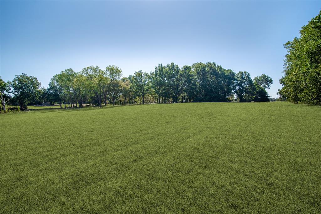 480 Terry Lane - Photo 6