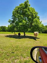 0000 Hwy 276 - Photo 27
