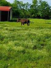 0000 Hwy 276 - Photo 29
