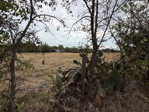 3638 County Road 2910 - Photo 5