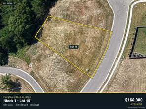 1009 Payton Court - Photo 3