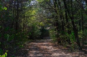 5 Acres +- S Faye Lane - Photo 2