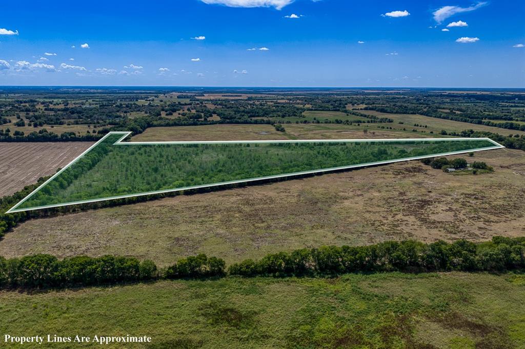 1 County Road 3505 - Photo 1