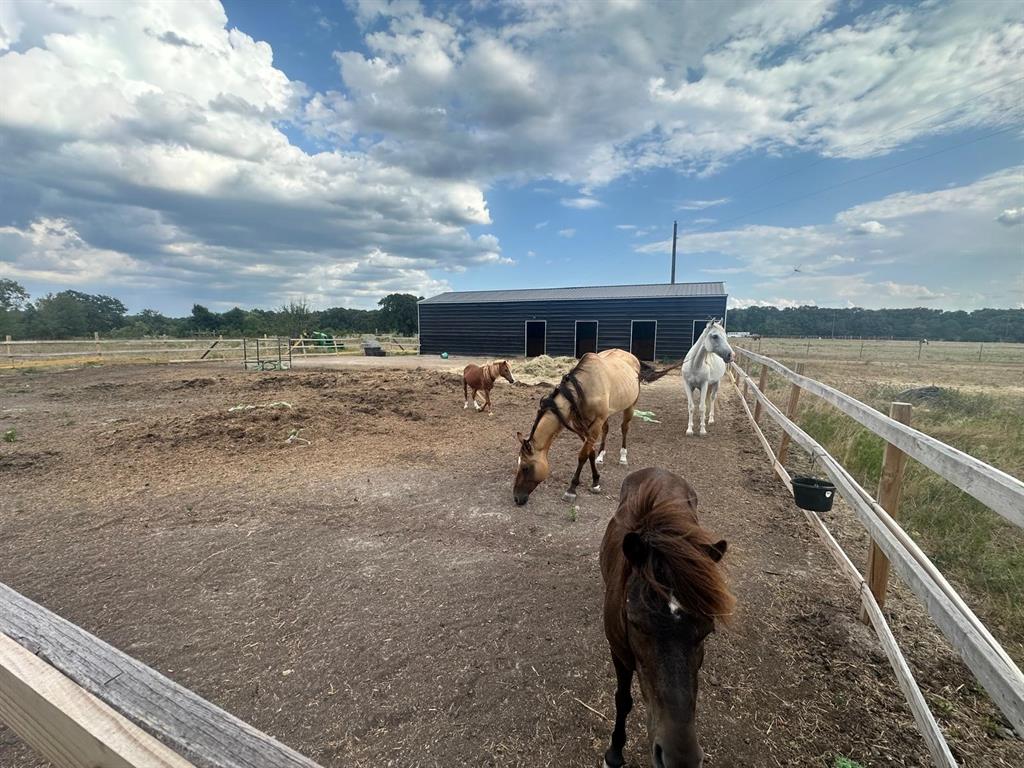 12496 County Road 2148 - Photo 2