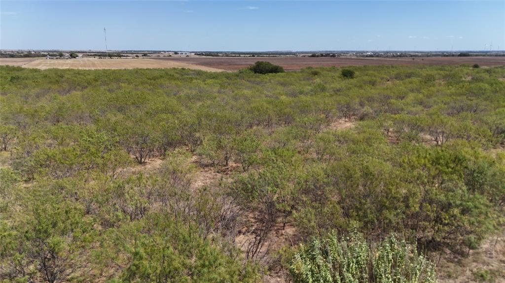 TBD County Road 3230 - Photo 1