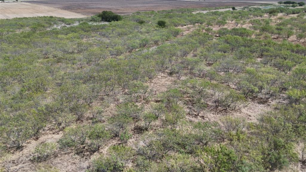 TBD County Road 3230 - Photo 6