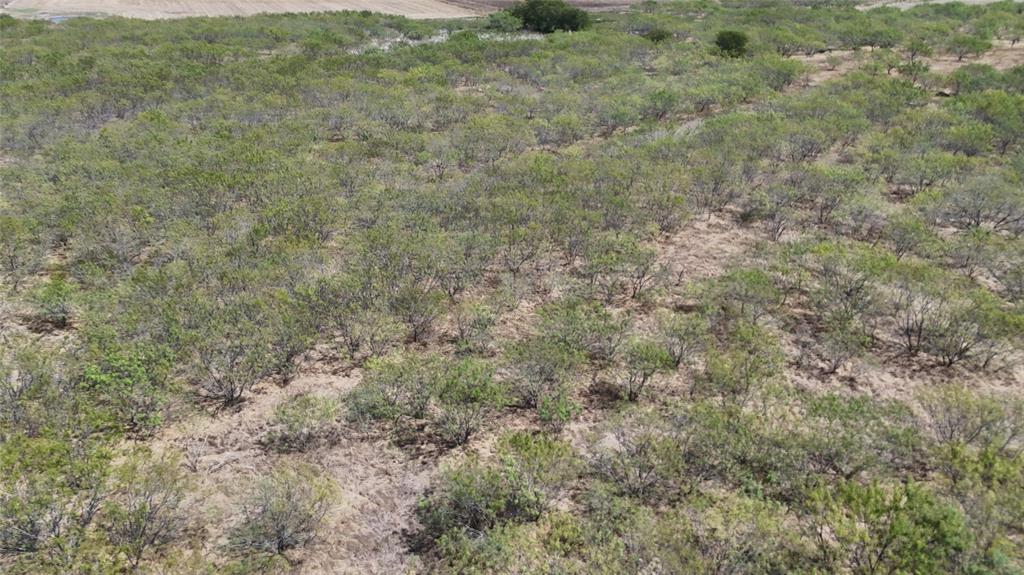 TBD County Road 3230 - Photo 7