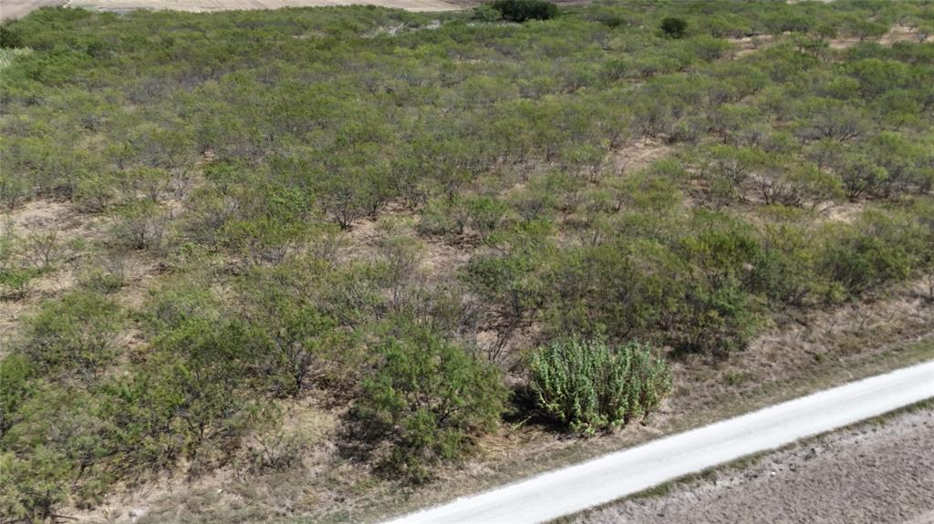 TBD County Road 3230 - Photo 8