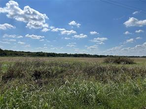 Tract 1 CR-153 - Photo 5