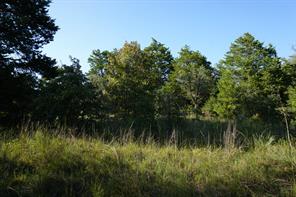 12641 Private Road 5104 - Photo 10