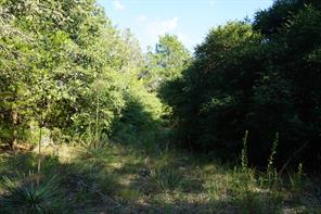 12641 Private Road 5104 - Photo 11