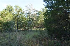 12641 Private Road 5104 - Photo 12