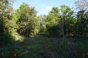 12641 Private Road 5104 - Photo 13