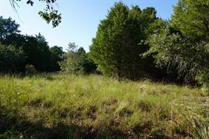 12641 Private Road 5104 - Photo 14