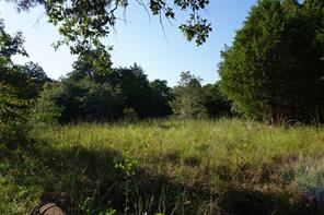 12641 Private Road 5104 - Photo 15