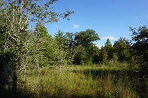 12641 Private Road 5104 - Photo 16