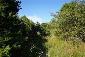 12641 Private Road 5104 - Photo 17