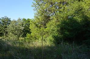 12641 Private Road 5104 - Photo 18