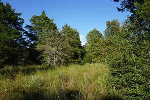 12641 Private Road 5104 - Photo 19