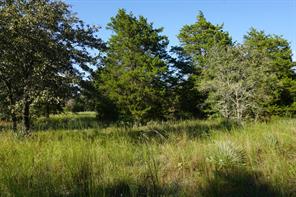 12641 Private Road 5104 - Photo 20