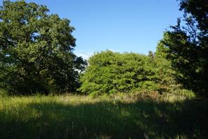 12641 Private Road 5104 - Photo 22
