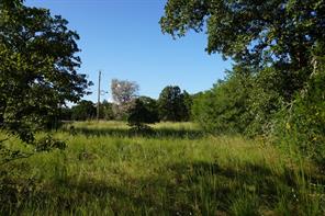 12641 Private Road 5104 - Photo 25