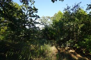 12641 Private Road 5104 - Photo 26