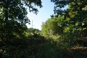 12641 Private Road 5104 - Photo 28