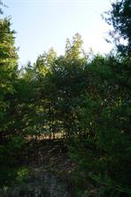 12641 Private Road 5104 - Photo 29