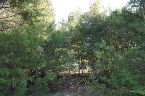 12641 Private Road 5104 - Photo 30