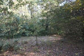 12641 Private Road 5104 - Photo 31