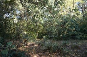 12641 Private Road 5104 - Photo 33