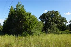 12641 Private Road 5104 - Photo 34