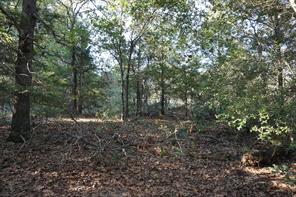 12641 Private Road 5104 - Photo 35
