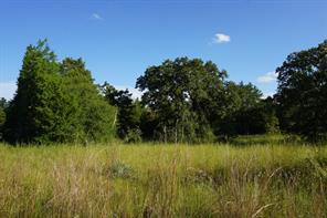 12641 Private Road 5104 - Photo 36