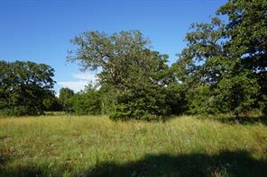 12641 Private Road 5104 - Photo 4