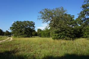 12641 Private Road 5104 - Photo 5