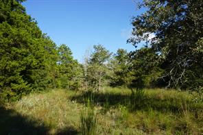 12641 Private Road 5104 - Photo 6