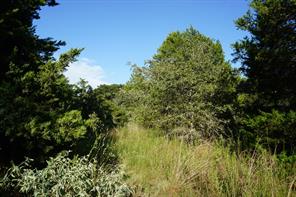 12641 Private Road 5104 - Photo 8