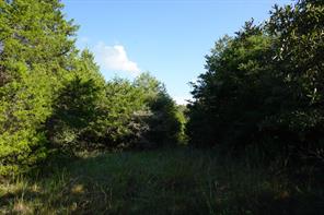 12641 Private Road 5104 - Photo 9