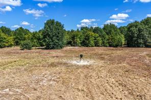 000 County Road 35400 - Photo 16