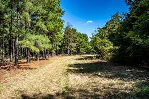 000 County Road 35400 - Photo 20
