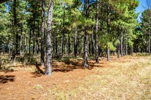 000 County Road 35400 - Photo 21